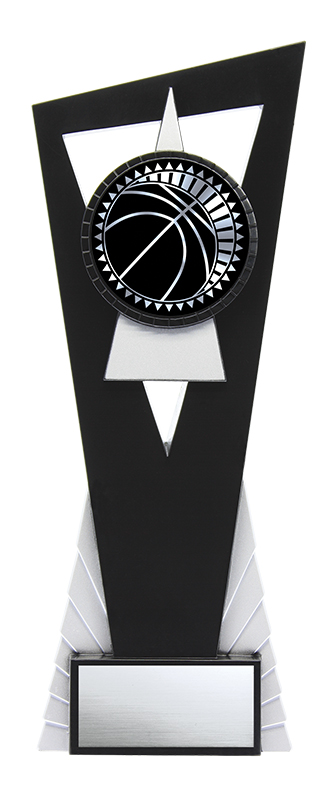 (image for) Solar Basketball Silver - 9"